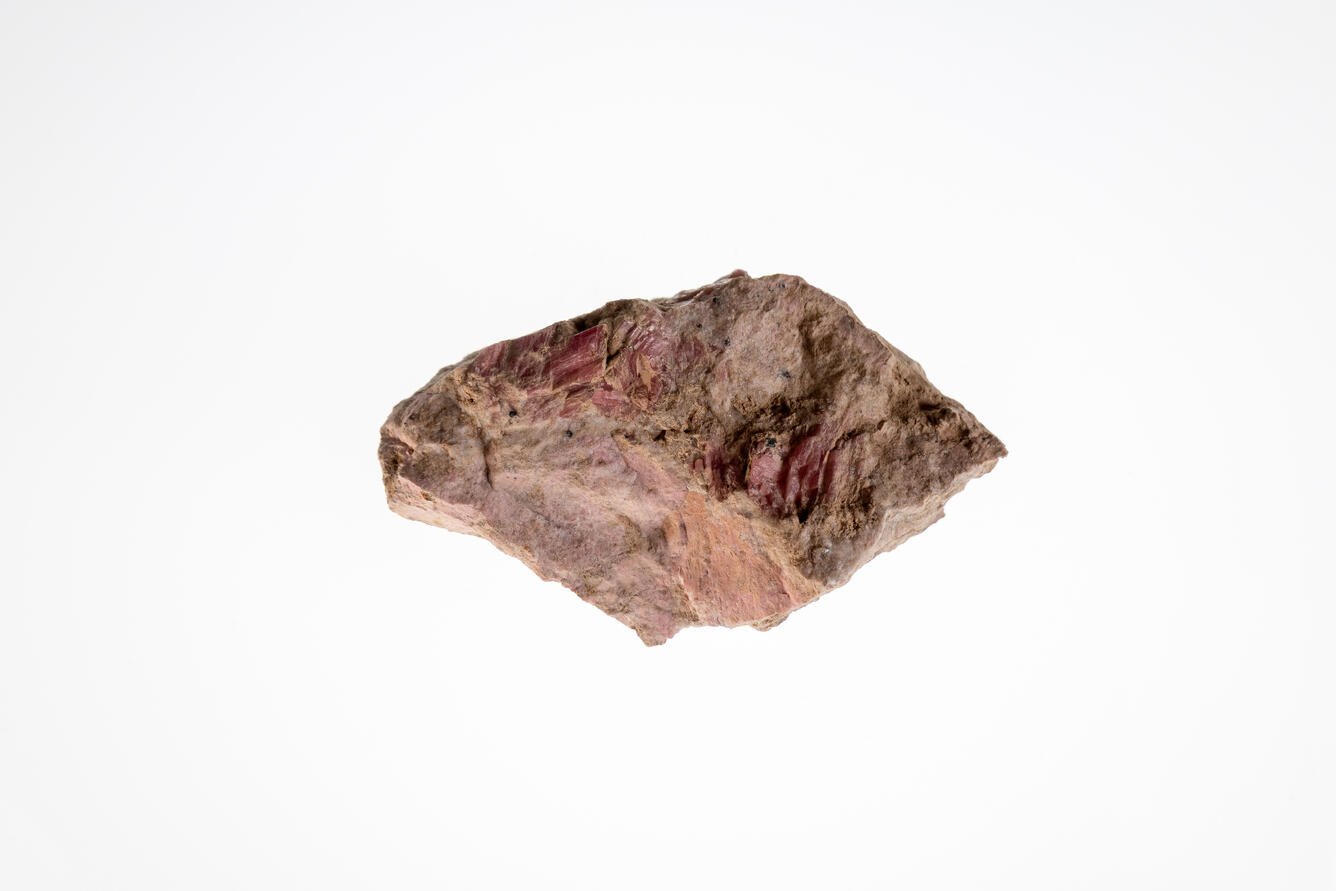 Isolated rhodonite specimen from the USGS mineral collection.
