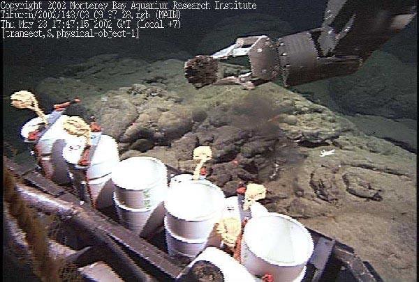 In an underwater scene, a robotic arm reaches down from the top of the frame with a black crusty rock in its pinchers. In the foreground a metal rack holds white collection cylinders, while in the background blobby pillow lava is lit by the ROV's bright lights. A tiny white crab can be seen protesting the loss of its favorite rock.