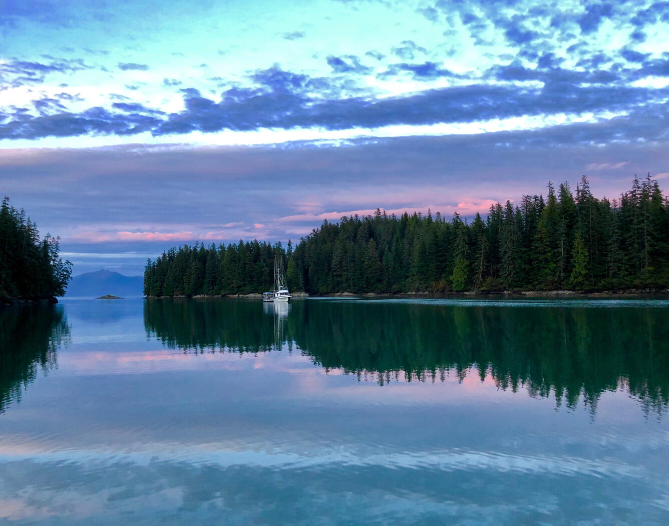 Fishing boat entering a harbor. The harbor is surrounded by large pine trees and a blue, purple, and pink sky.