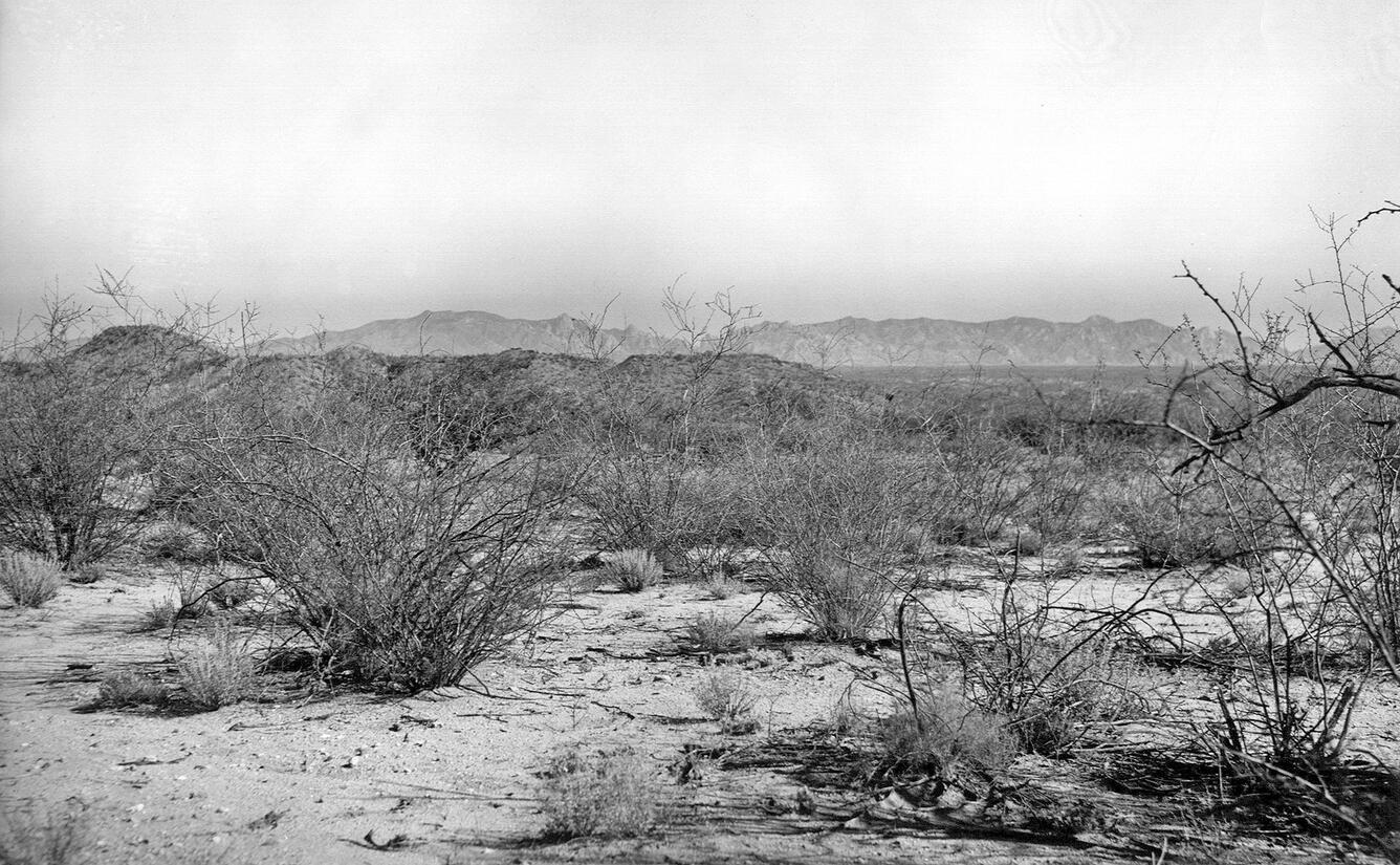 San Pedro River valley, near St. David, AZ - 1962. Photo by J.R. Hastings