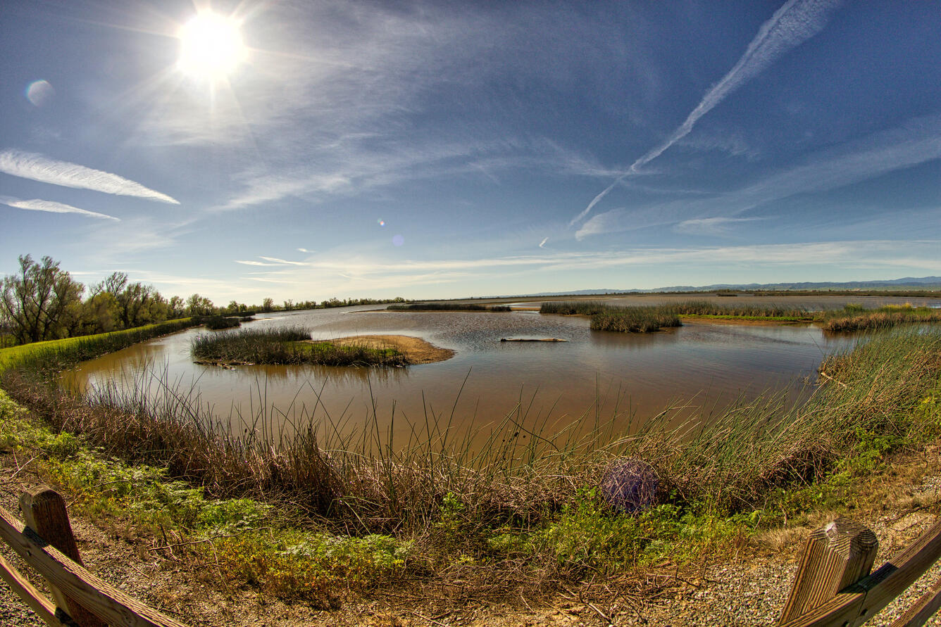 Panoramic view of wetlands with blue sky