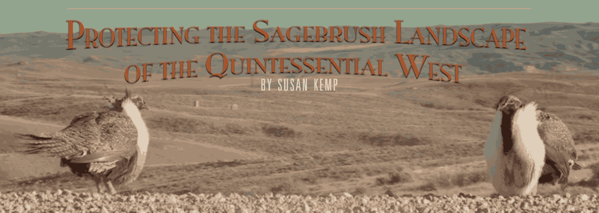 Protecting the Sagebrush Landscape of the Quintessential West 