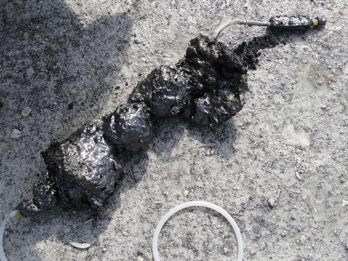black bulbous rock sample on white tubing resting on a barren, pale, sandy surface
