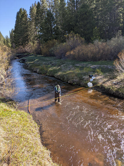 USGS hydrologist sampling at Trout Creek near Tahoe Valley, CA