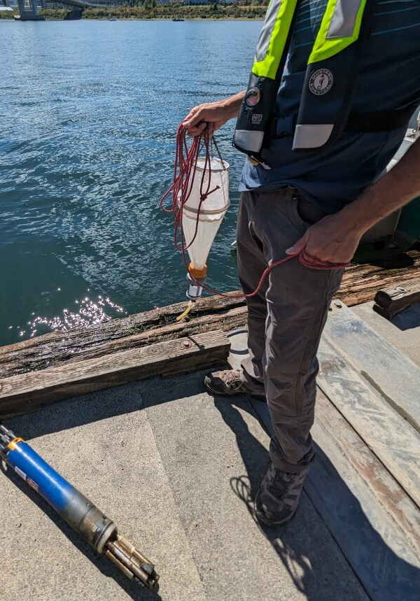 Scientist stands on the dock near OMSI holding a net sampling device