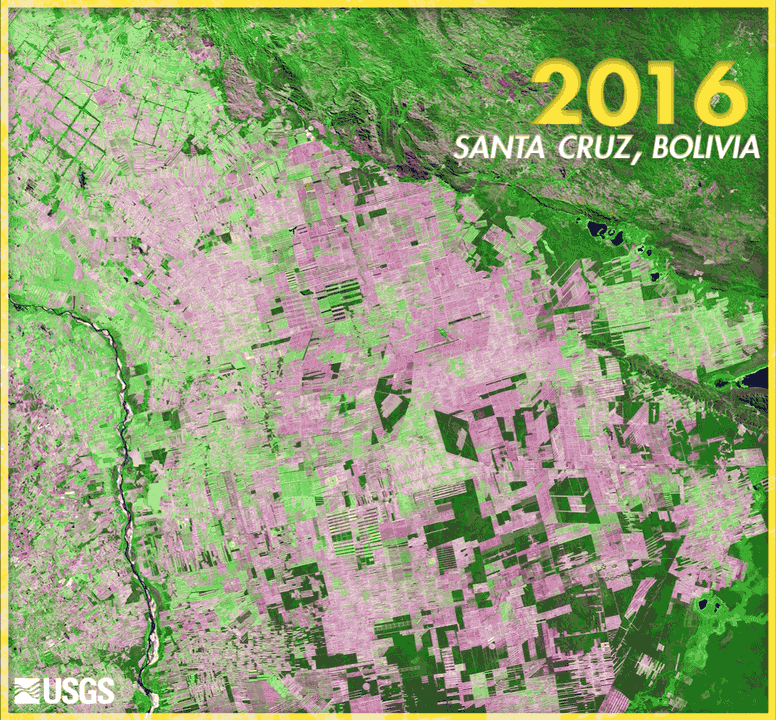 Thirty Years of Forest Loss