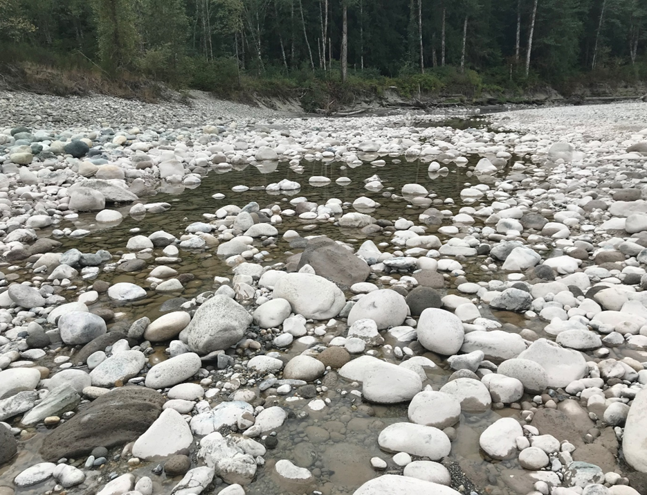 Sub-surface seeps in the Sauk River, Northwest Washington. Photo credit: Sauk-Suiattle Indian Tribe. 