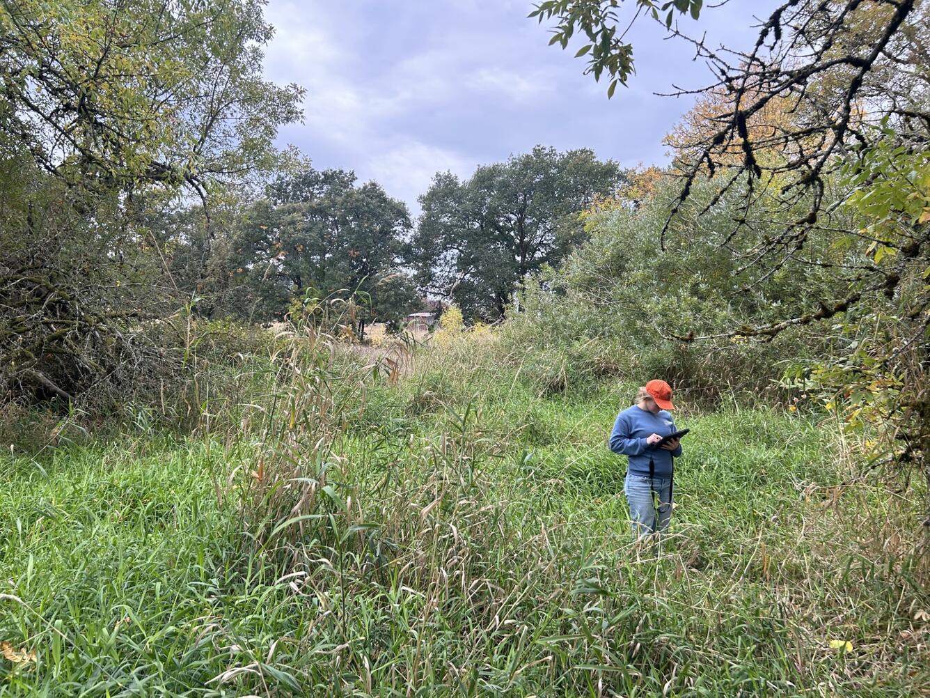 A technician photographs a grassy field