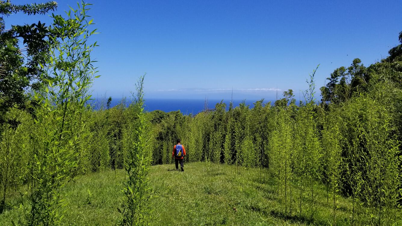 Photo overlooking ocean in Wailua, Maui, Hawaii.