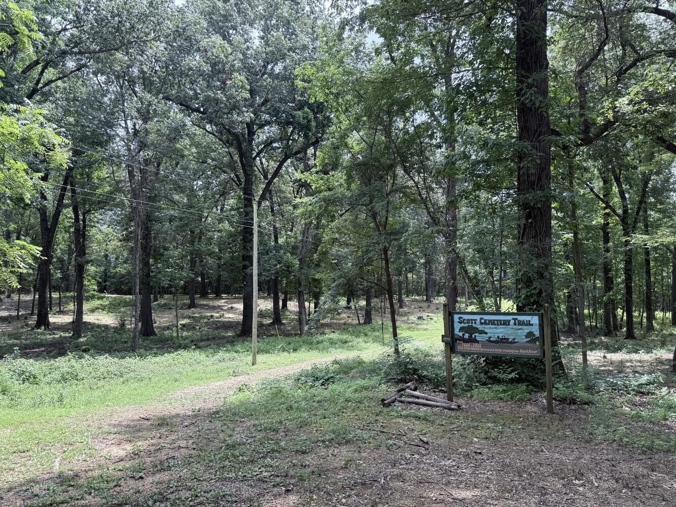 Forest trail with tall trees and a small wooden sign reading ‘Scott Cemetery Trail’ standing near the path