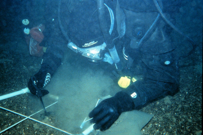 A SCUBA diver underwater holding small tools for sampling mussels.