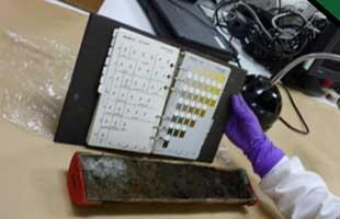 Split sediment core compared to color chart