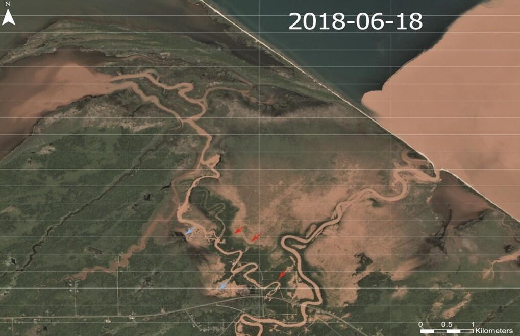 Red arrows showing area of high sediment laden flow from a river