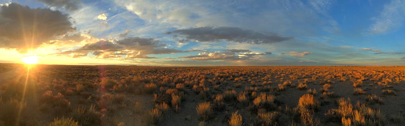sun setting over a sagebrush landscape, partly cloudy sky