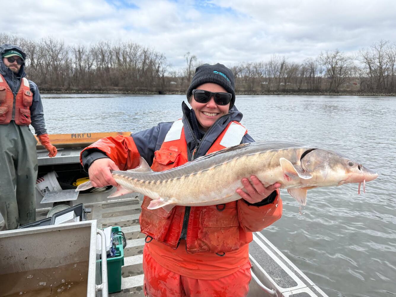 A female scientist holds a long, grey fish with large scales. 