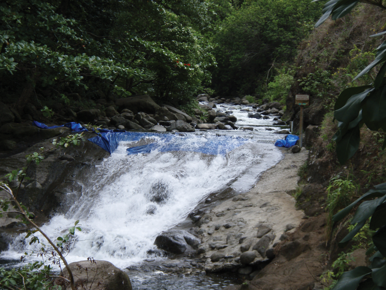 Photograph of partially covered (with blue tarp) diversion intake common to the ÿÏao-Mäniania and ÿÏao-Waikapü Ditches near an altitude of 780 feet, ÿÏao Stream, Maui, Hawaiÿi 