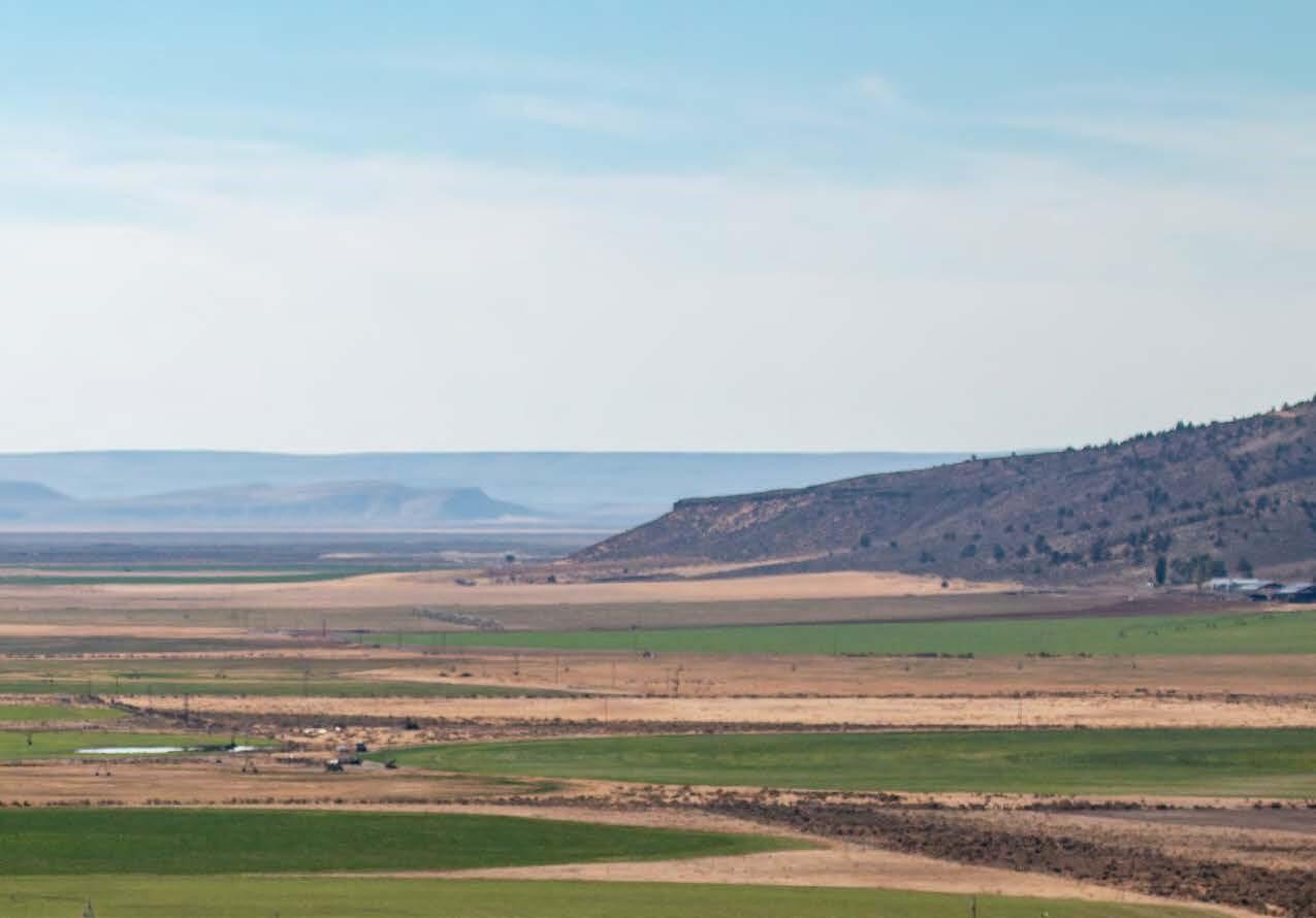 sprawling landscape of green irrigated crop land in between dry yellow vegetation patches on a hazy blue sky day