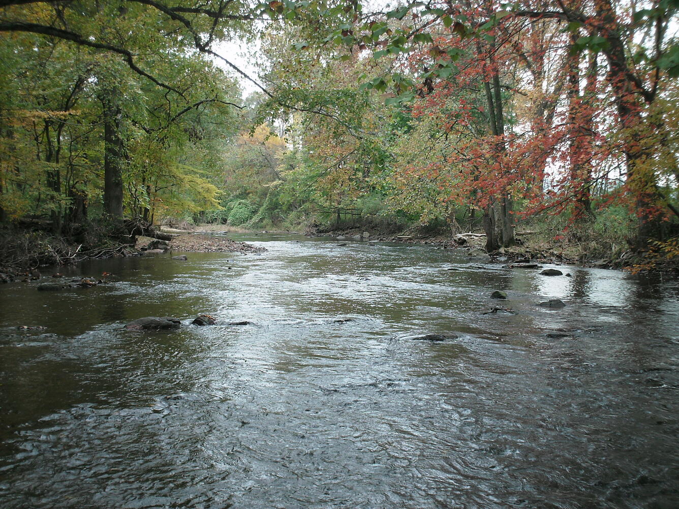 French Creek near Phoenixville, PA, river in the foreground and trees with green, yellow, and red leaves in the background. 