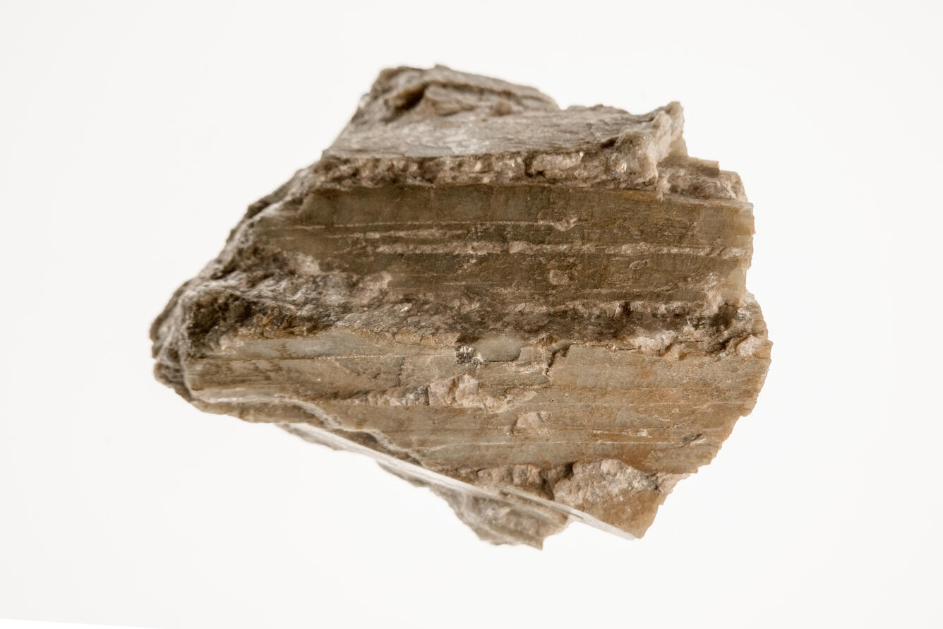 High-definition image of spodumene specimen with fibrous texture and light coloration.