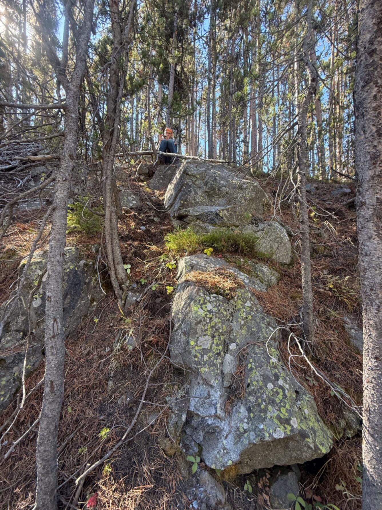 Rock outcrop in the midst of a forest with a person standing on top collecting a sample