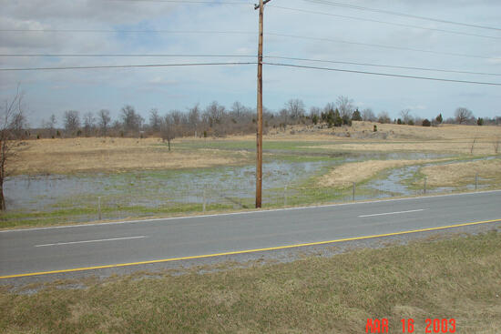 A wetland area along a highway, looking like a flooded pasture.