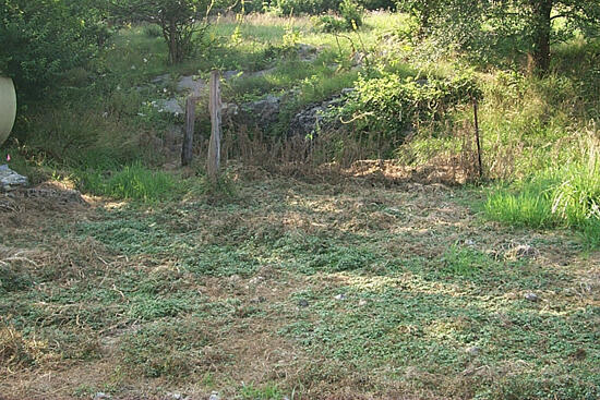 A completely dry spring. Appears to be nothing more than a dry patch of land.