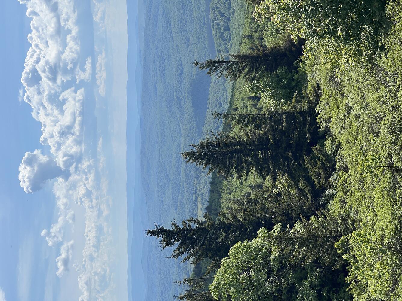Spruce Knob, the highest point in West Virginia