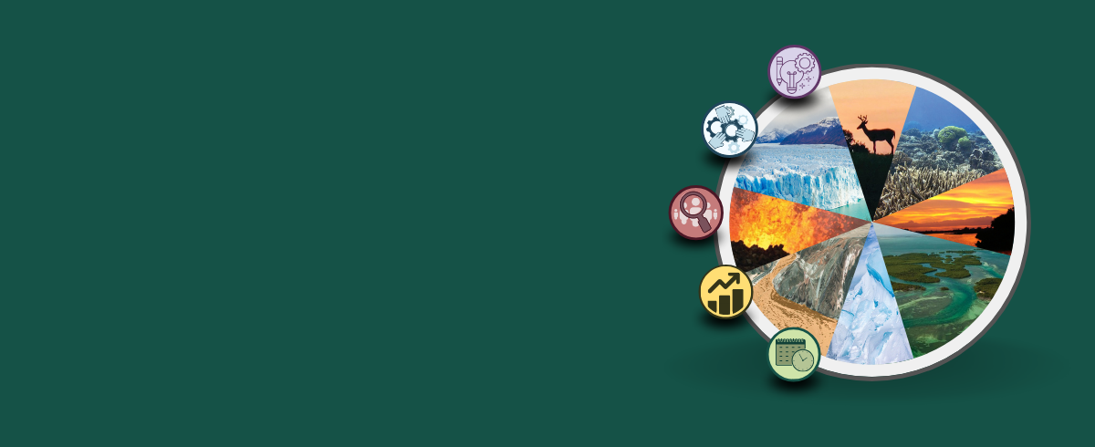 Decorative illustration