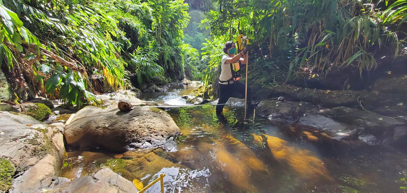 Person in stream making a discharge measurement.