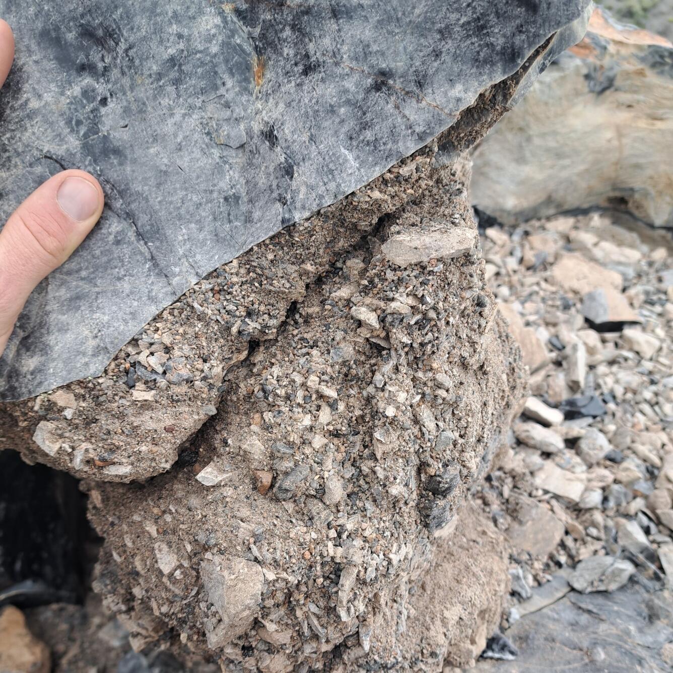 A photograph of a fracture filled with light grey ash and multi-colored rock fragments that is cutting through dark obsidian rock. A finger included for scale indicates that the fracture is about the width of a human hand, and some of the largest angular rock fragments are finger-sized. In the background, a rubble-covered surface of the Panum lava dome is visible.