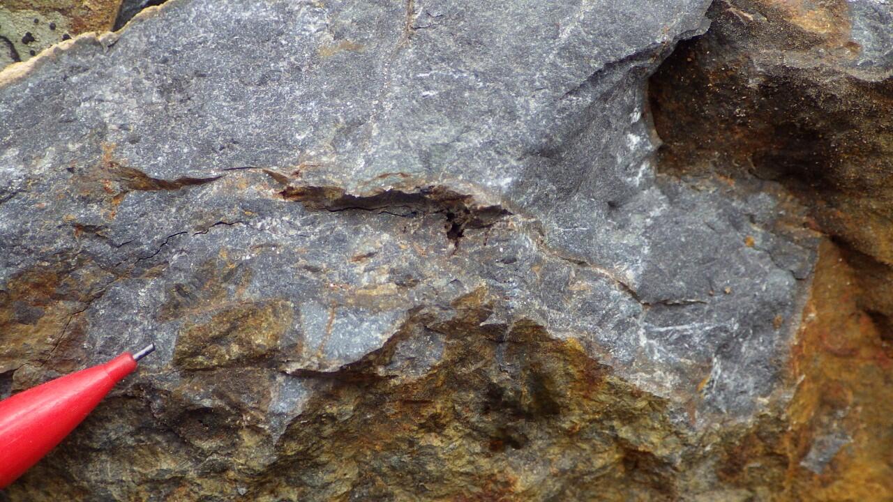 Image shows a detailed view of a rock with the tip of a pencil for scale