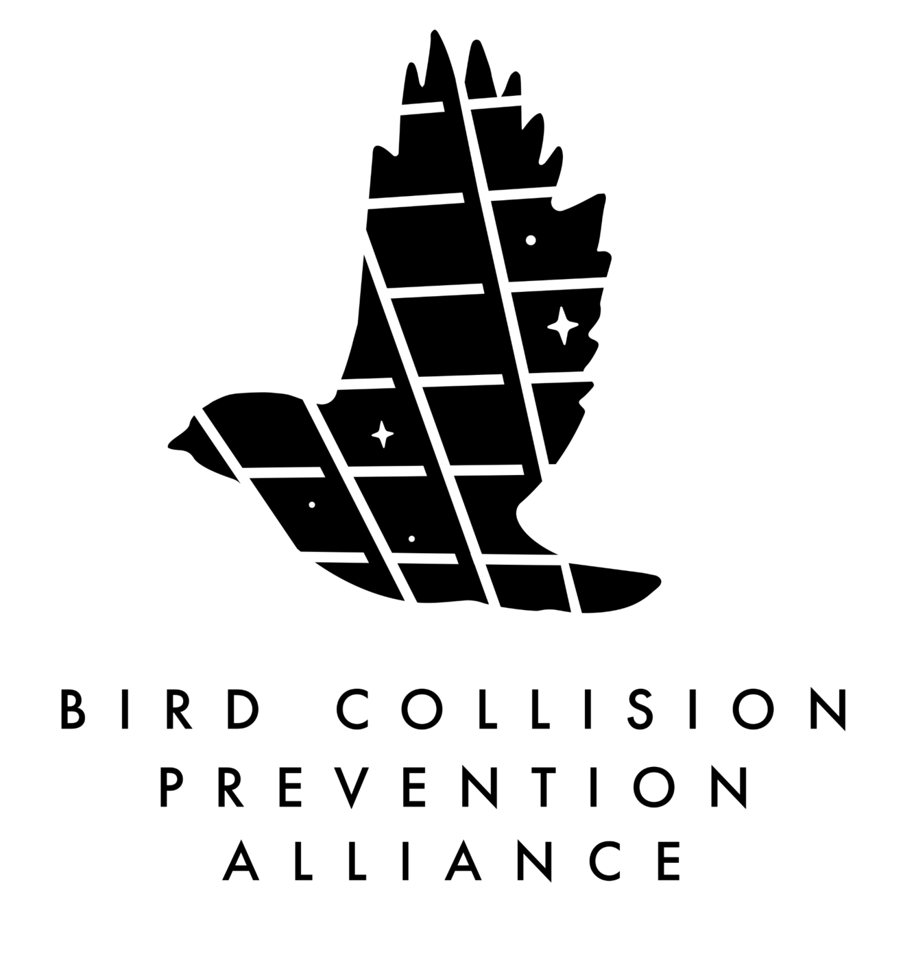 silhouette of a bird with window panes 