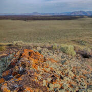 photo of landscape with mountains in background