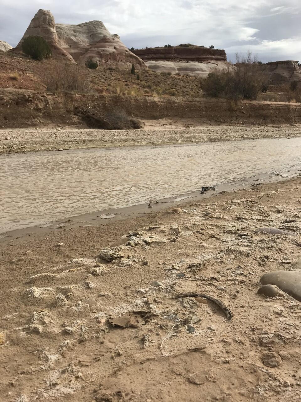 A brownish river with sand and salt deposits along the shore, with red rock formations beyond the far shore