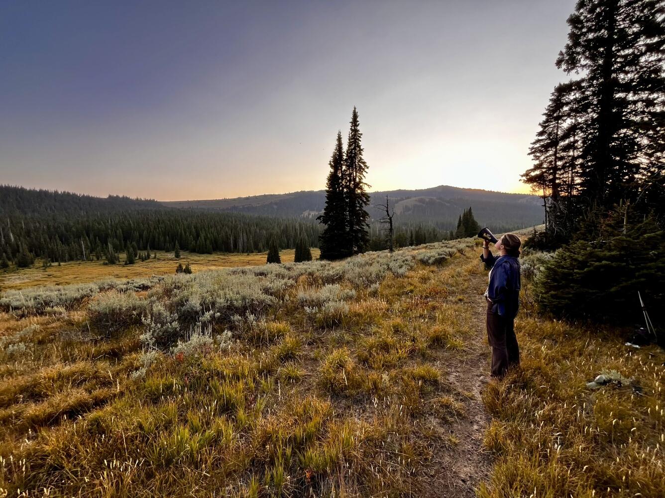 Researcher surveying for wolves in Idaho