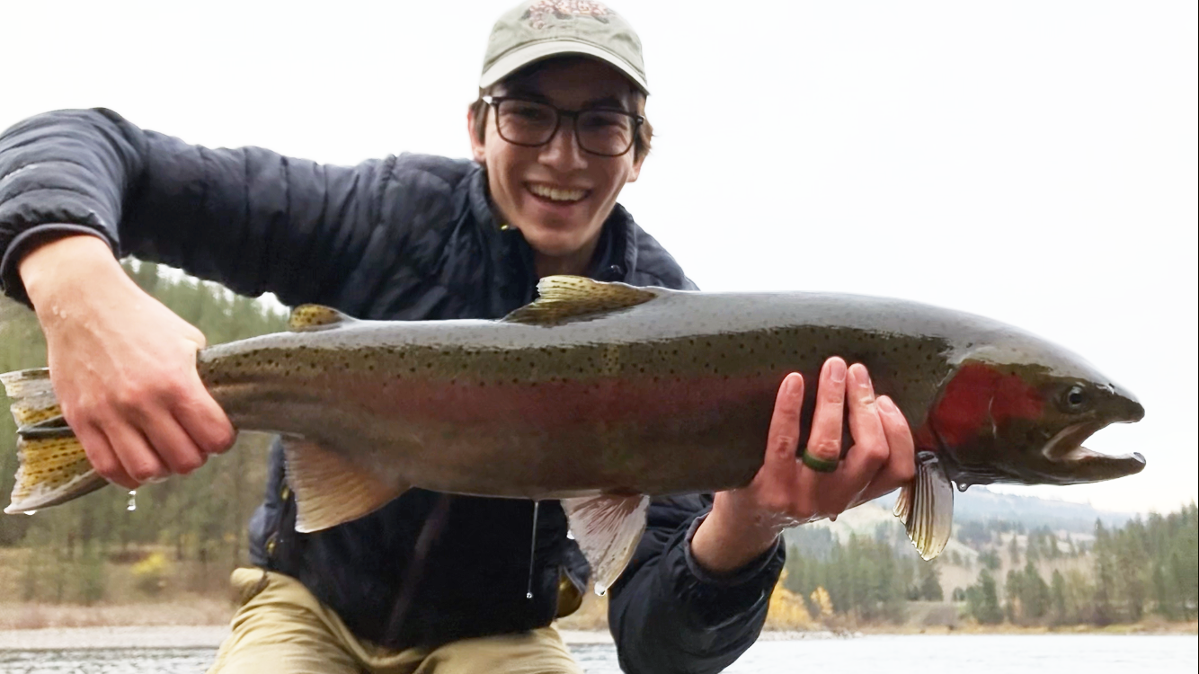 A researcher is holding a steelhead 