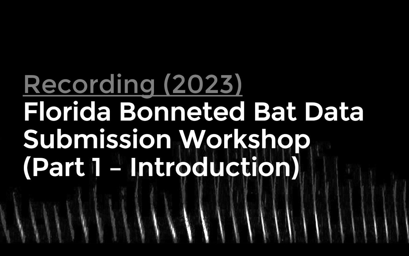 Title card for webinar: Florida Bonneted Bat Data Submission Workshop (Part 1 Introduction)
