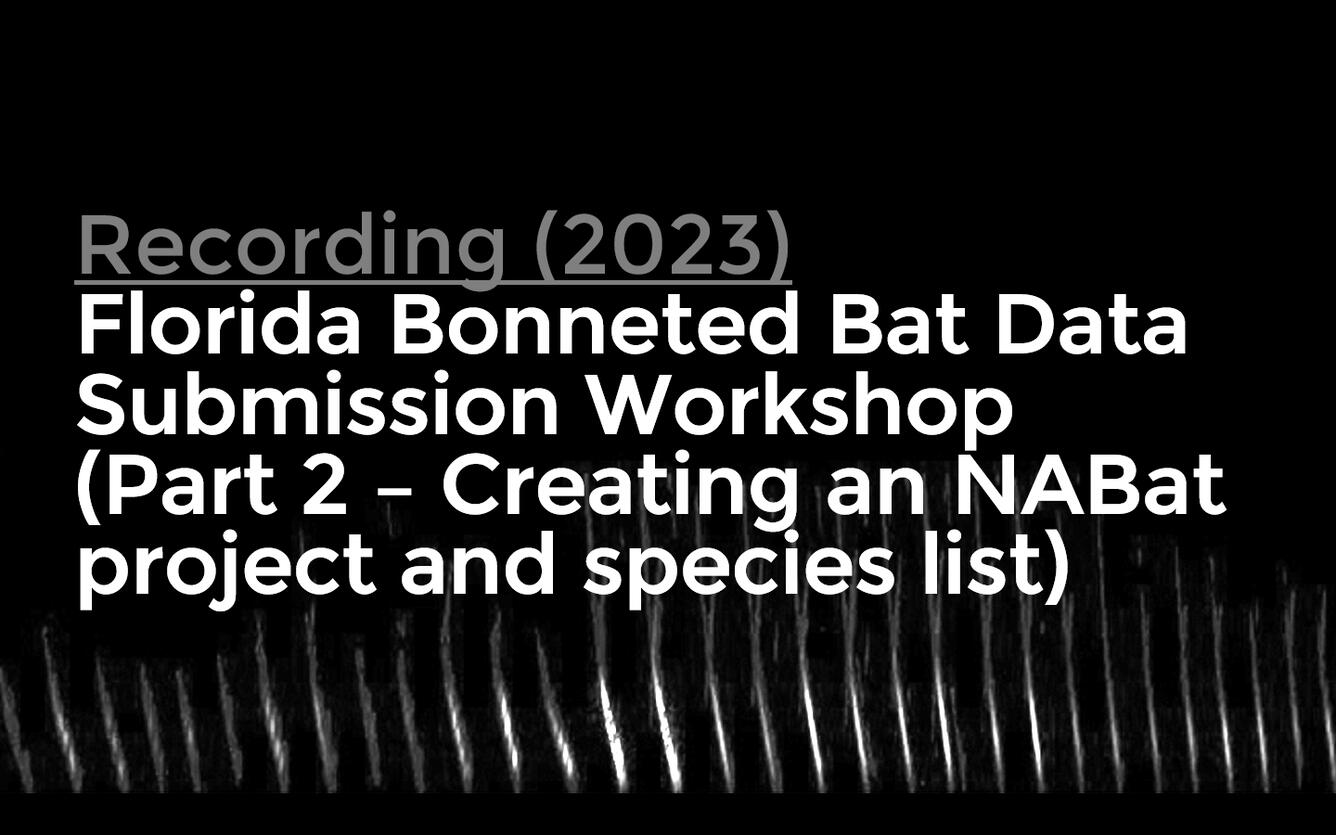 title card for Florida Bonneted Bat Data Submission Workshop (Part 2 Creating an NABat Project and Species List)