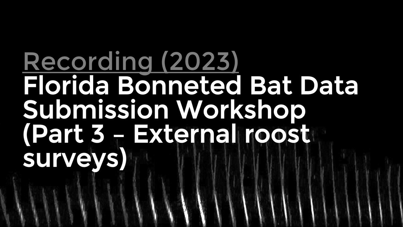 title card for recording of Florida Bonneted Bat Data Submission Workshop (Part 3 External Roost Surveys)