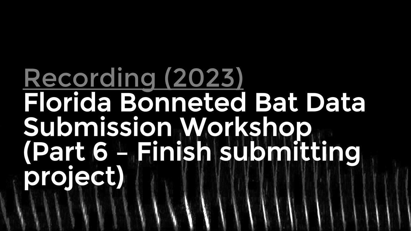 title card for Florida Bonneted Bat Data Submission Workshop (Part 6 Finish Submitting Project)