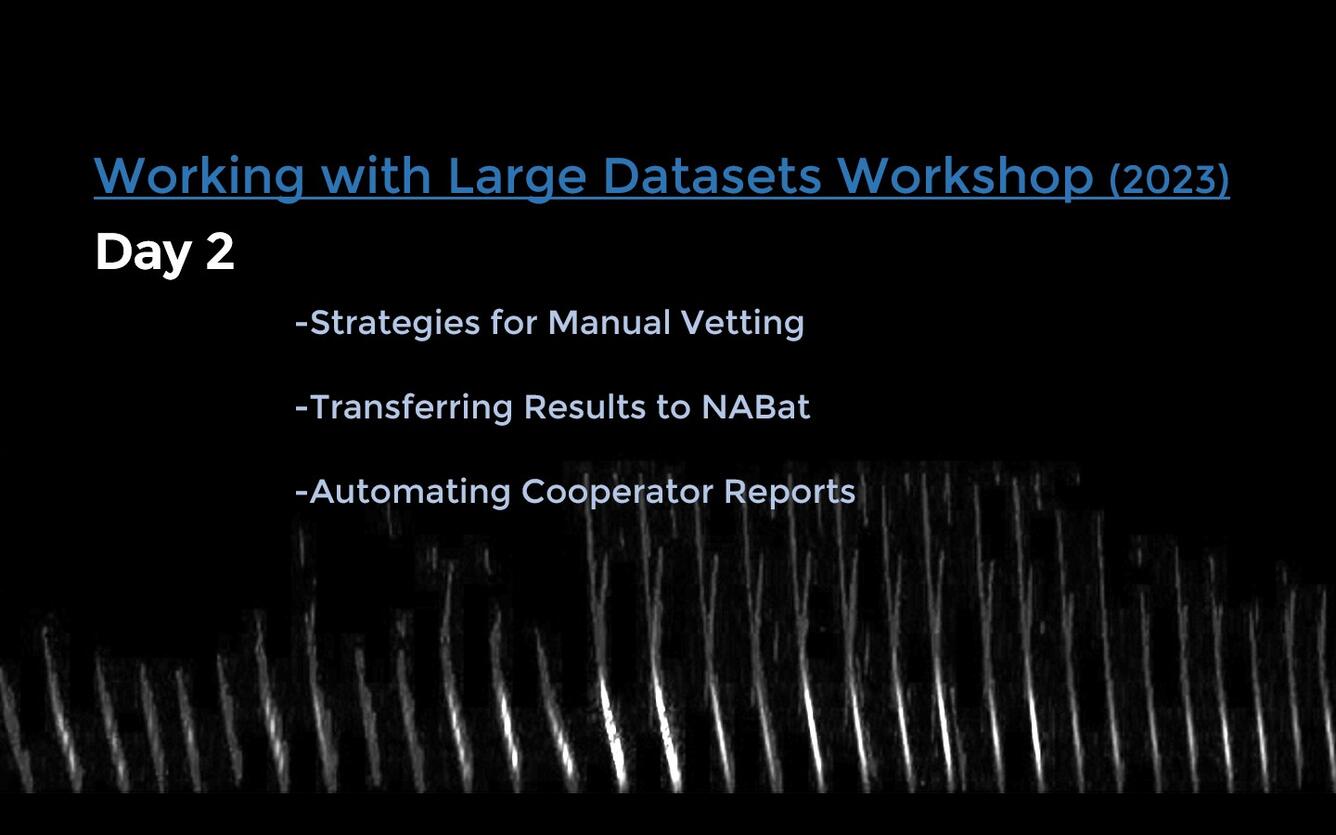 Title card for: Managing Large Datasets Workshop (Day 2) Webinar