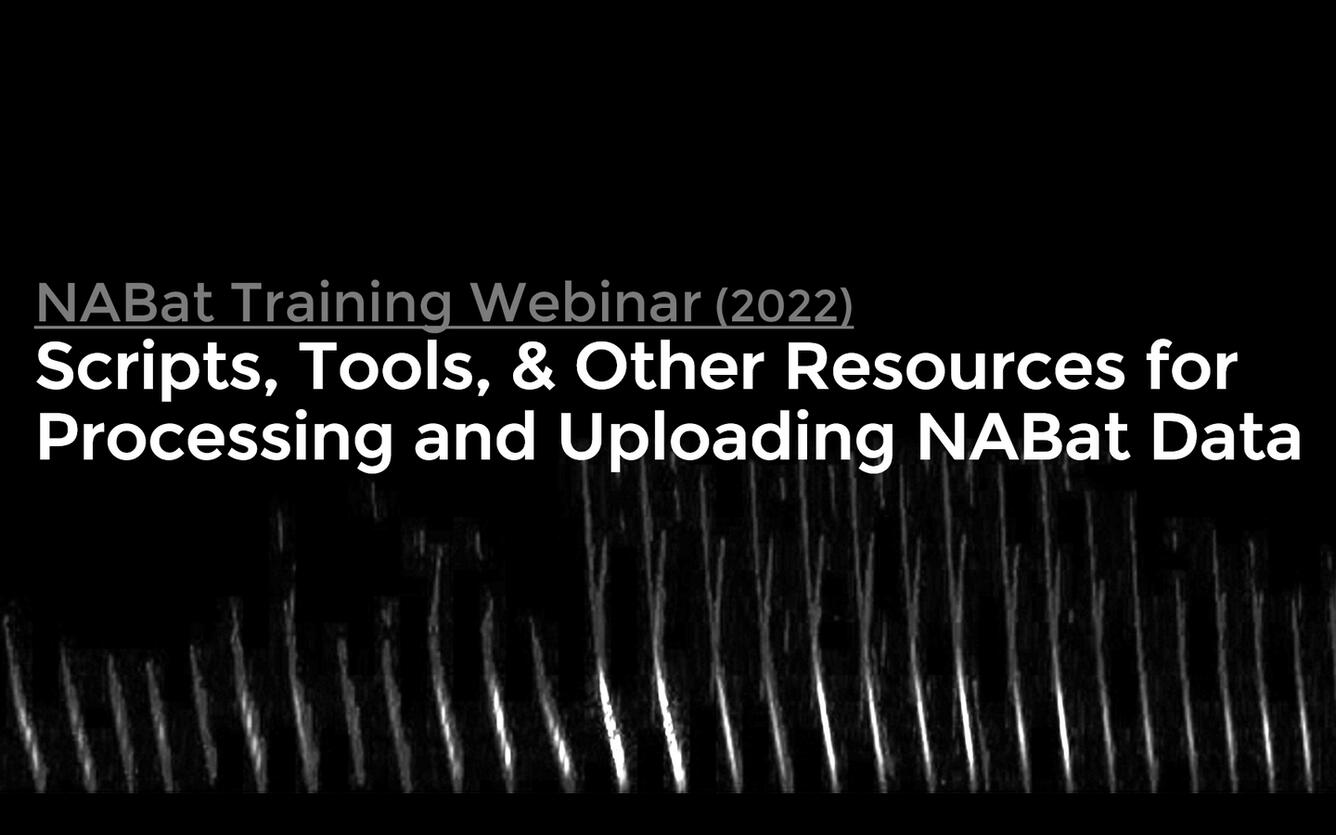Training Webinar (2022): Scripts, Tools, & Other Resources for Processing and Uploading NABat Data