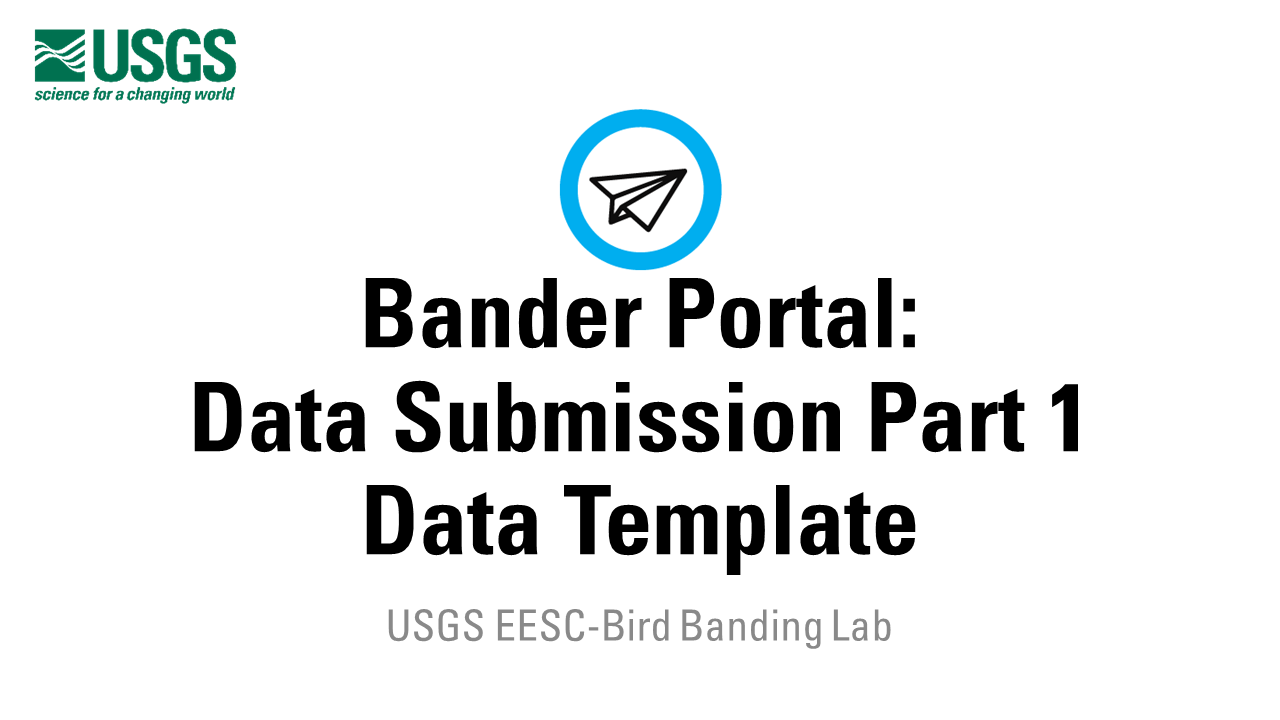 A title slide icon with a paper airplane bird above the title