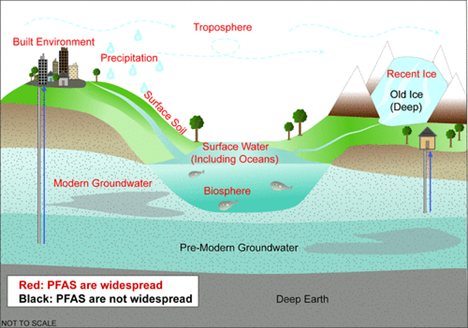 Conceptual diagram of where per- and polyfluoroalkyl substances