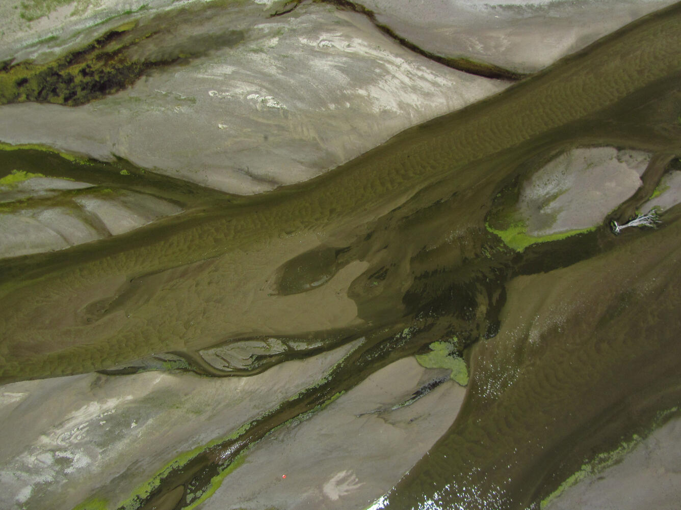 Image of the Platte River taken from a natural color sensor mounted on a UAS