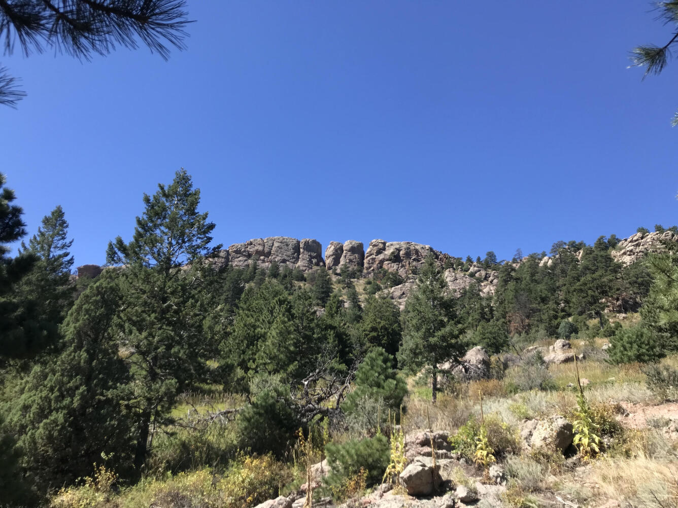 Photo of a mountain with trees in foreground