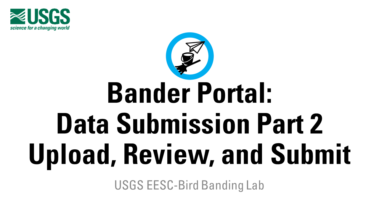 A title slide icon with a paper airplane bird above the title