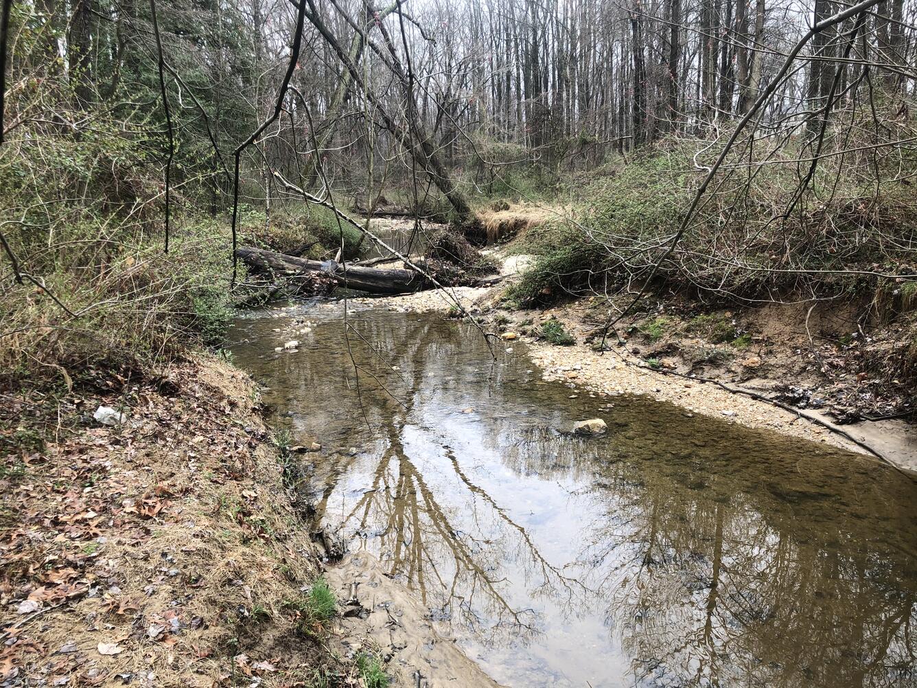 An urban stream channel