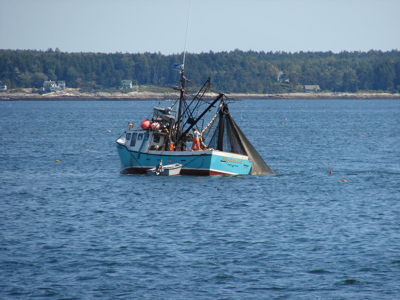 A blue fising boat with orange bouys and nets in the water hainging off several masts.