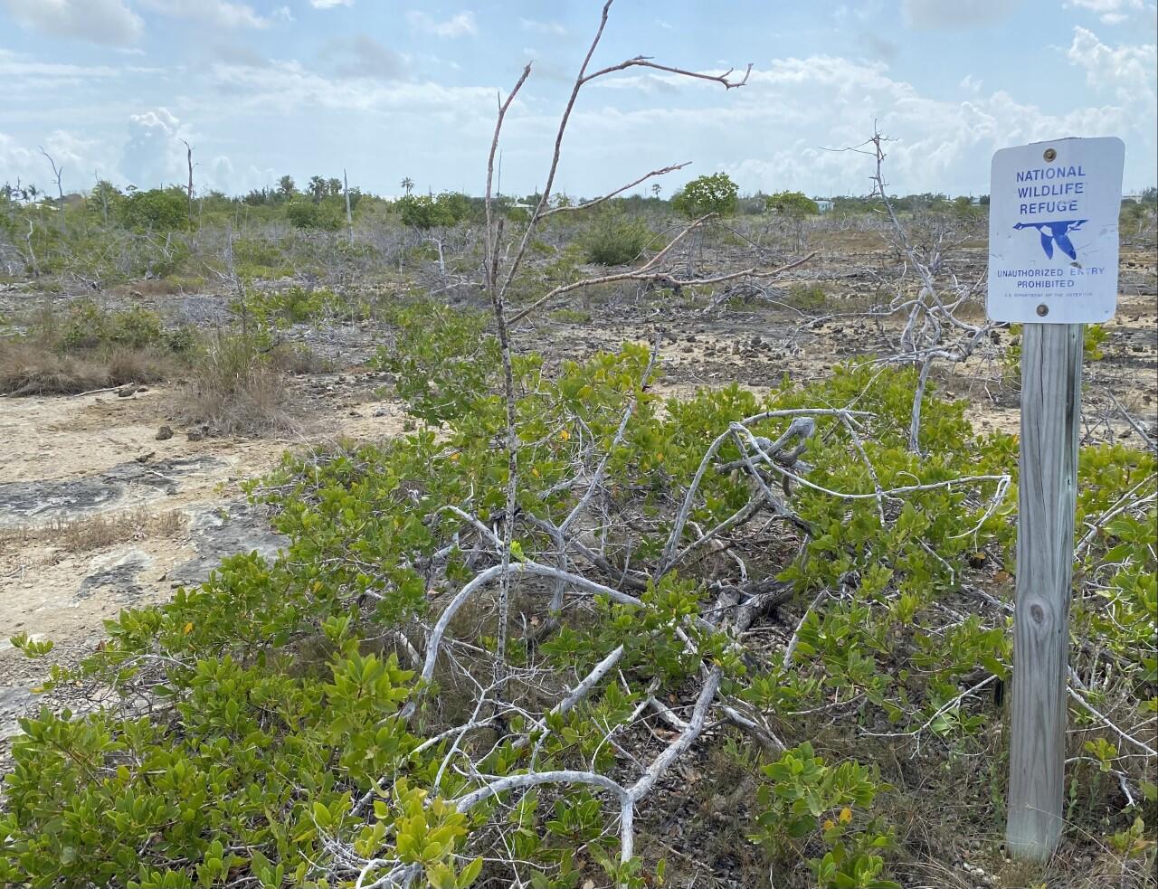 National Key Deer Refuge
